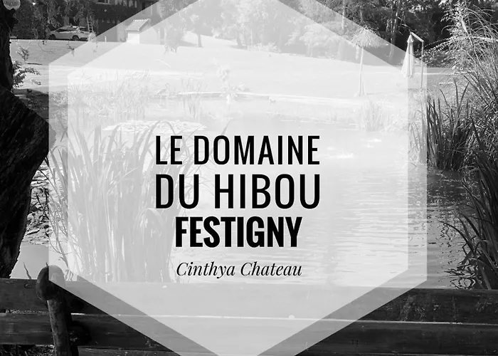 Le Domaine Du Hibou Festigny