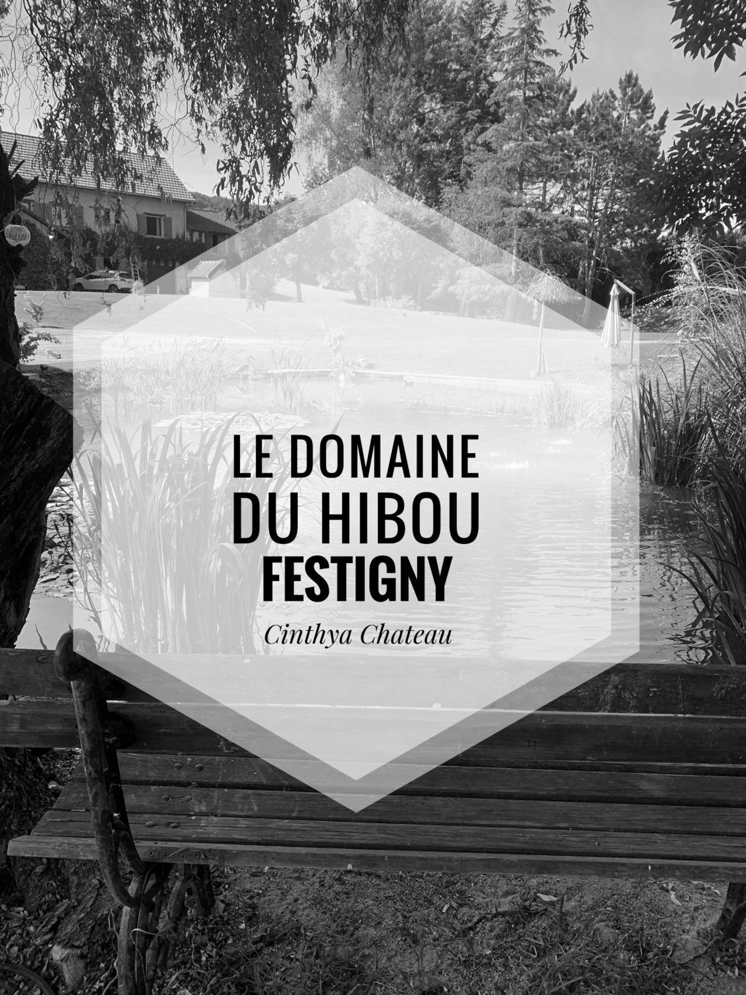 Le Domaine Du Hibou Festigny Apartment *